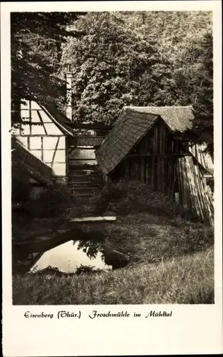 Ak Eisenberg in Thüringen, Froschmühle, Mühltal