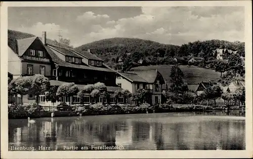 Ak Ilsenburg im Harz, Forellenteich, Hotel zu den roten Forellen