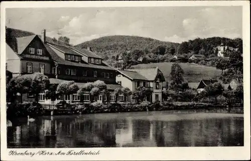 Ak Ilsenburg im Harz, Forellenteich, Hotel zu den roten Forellen