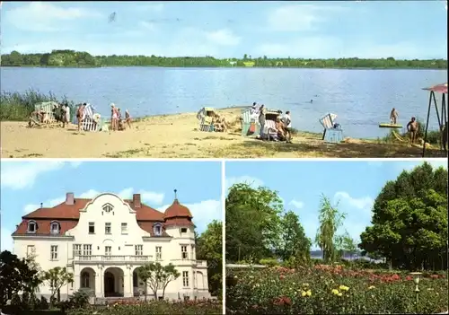 Ak Torgelow am See bei Waren Müritz Mecklenburg, Bildungszentrum Staatl. Versicherung, Rosengarten