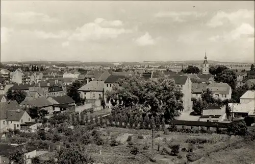 Ak Elsterwerda in Brandenburg, Panorama