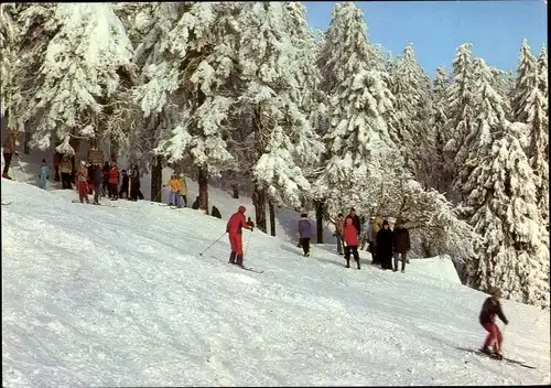 Ak Antonshöhe Antonsthal Breitenbrunn im Erzgebirge, Skifahrer