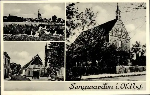 Ak Sengwarden Wilhelmshaven in Niedersachsen, Kirche, Windmühle, Ortspartie, Rinder