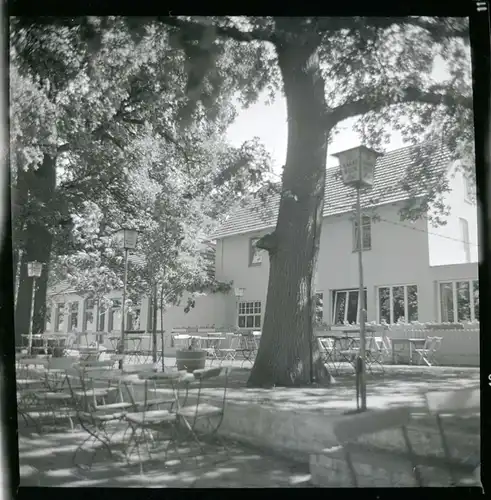 9 Zelluloid Negative Barme Dörverden in Niedersachsen, See, Restaurant, Biergarten