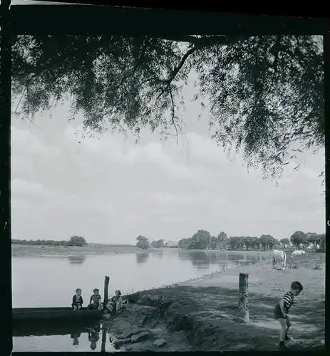 7 Zelluloid Negative Bosse Frankenfeld Niedersachsen, See, Windmühle, Teich