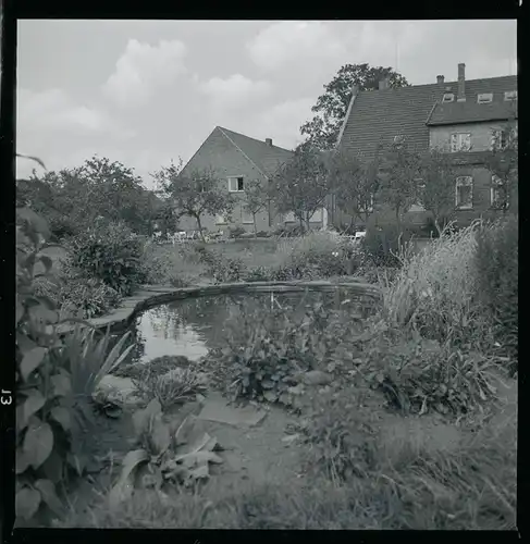 7 Zelluloid Negative Bosse Frankenfeld Niedersachsen, See, Windmühle, Teich