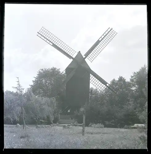 7 Zelluloid Negative Bosse Frankenfeld Niedersachsen, See, Windmühle, Teich