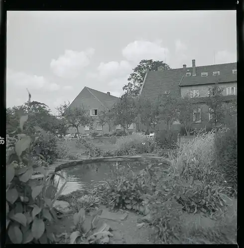 7 Zelluloid Negative Bosse Frankenfeld Niedersachsen, See, Wiese, Haus