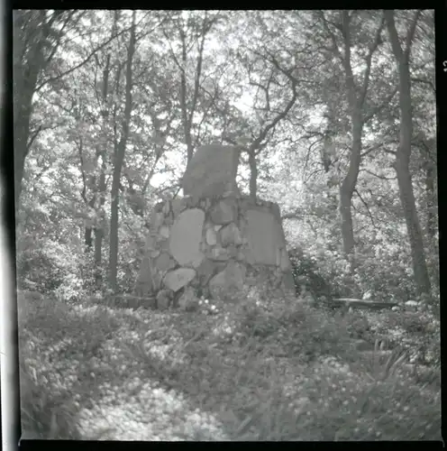 5 Zelluloid Negative Beckedorf Schwanewede in Niedersachsen, Haus, Geschäft, Gedenkstein