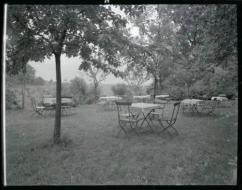 6 Zelluloid Negative Ritterhude Niedersachsen, Fluss, Garten, Straße