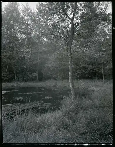 6 Zelluloid Negative Garlstedt Osterholz Scharmbeck Niedersachsen, Wiese, Gaststätte, Weiher