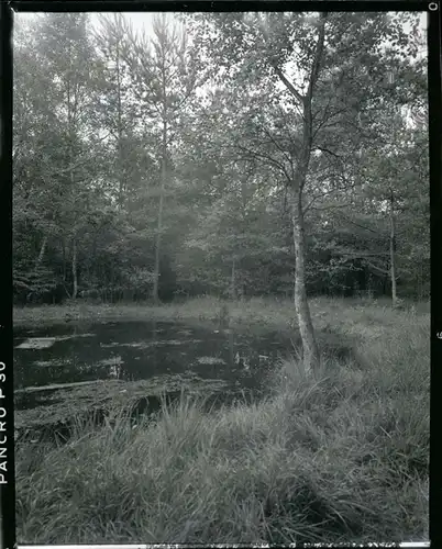 6 Zelluloid Negative Garlstedt Osterholz Scharmbeck Niedersachsen, Wiese, Gaststätte, Weiher