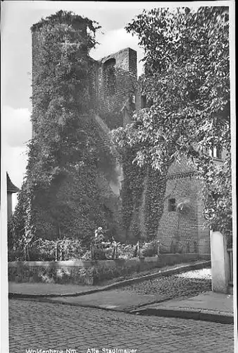 9 Negative Woldenberg Neumark, Straße, Kirche, Ruine