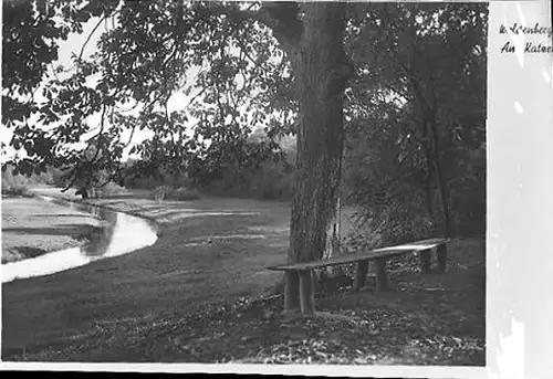 9 Negative Woldenberg Neumark, Straße, Kirche, Ruine