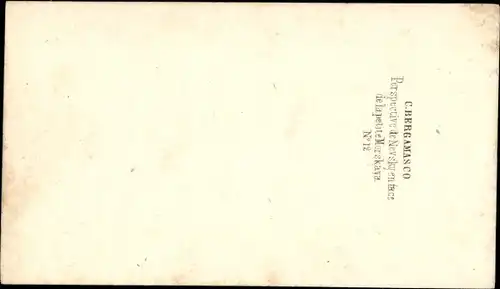 CdV Russischer Adel, Prinzessin, Standportrait, Kleid