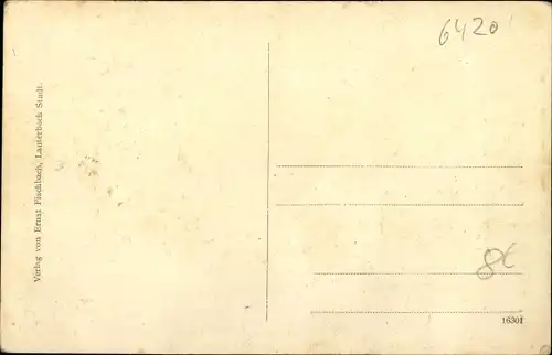 Ak Lauterbach in Hessen, Gesamtansicht