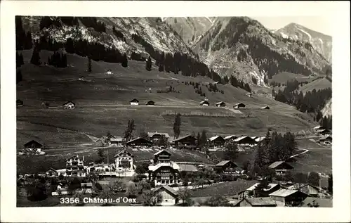 Postleitzahl Château d'Œx Oex Kanton Waadt, Panorama