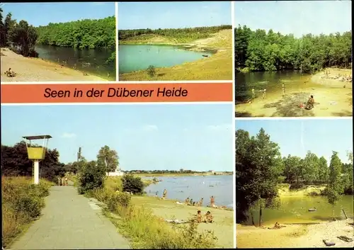 Ak Bad Düben an der Mulde Sachsen, Dübener Heide, Langer See, Roter See, Bergwitzsee, Friedrichsee