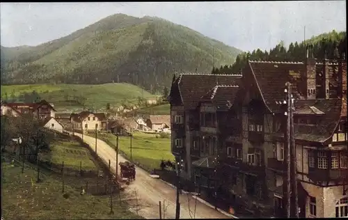 Ak Steinhaus am Semmering Steiermark, Teilansicht