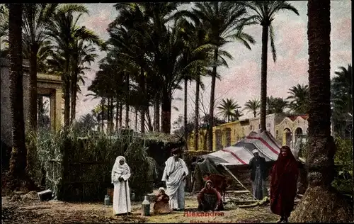 Ak Alexandria Ägypten, Palm trees, tent, locals