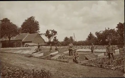 Ak Bapaume Pas de Calais, Deutsche Soldaten am Gärtnern