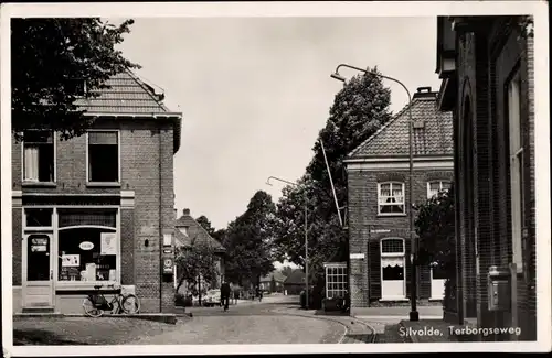 Ak Silvolde Gelderland, Terborgseweg