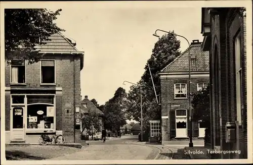 Ak Silvolde Gelderland, Terborgseweg