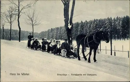 Ak Braunlage im Oberharz, Rodelpartie mit Vorspann, Pferdeschlitten