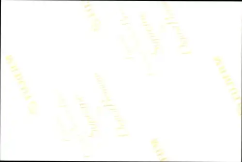 Ak Norbert Schatz, Kommandant SSS Gorch Fock