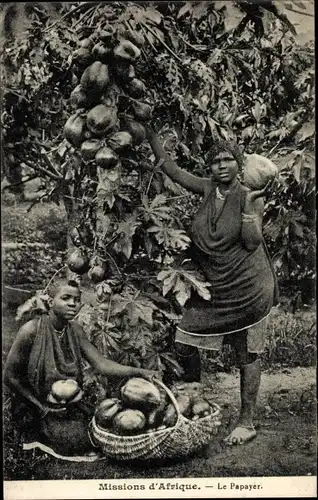 Ak Afrikanische Mission, Papaya-Baum, afrikanische Frauen bei der Ernte