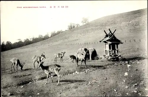 Ak Nara Präfektur Nara Japan, Mikasayama