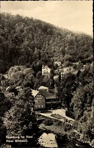 Ak Treseburg Thale im Harz, Haus Wildstein