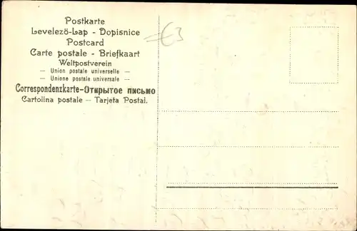 Stoff Präge Ak Glückwunsch Neujahr, Junge, Kleeblätter, Blüten