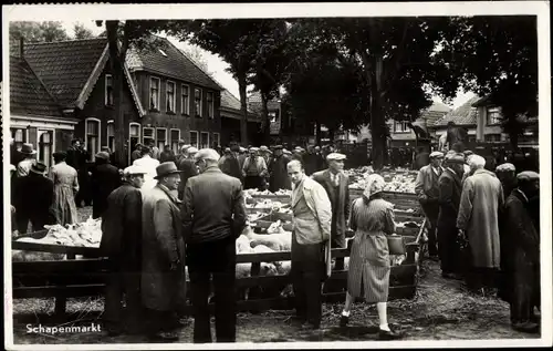 Ak Texel Nordholland Niederlande, Schapenmarkt