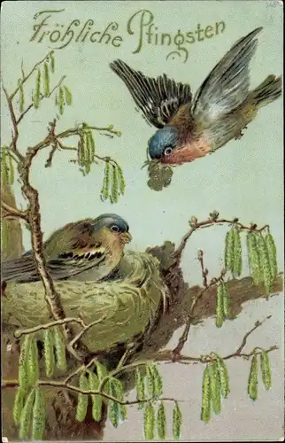 Präge Ak Glückwunsch Pfingsten, Vögel, Vogelnest, Futter