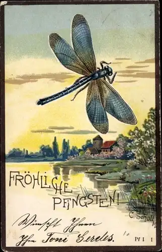 Präge Litho Glückwunsch Pfingsten, Libelle, Teich