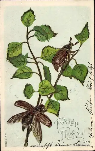 Präge Litho Glückwunsch Pfingsten, Maikäfer klettern Zweig hoch