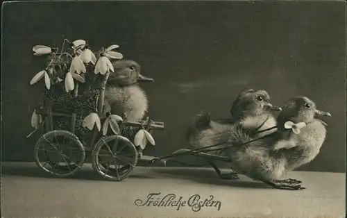 Ak Glückwunsch Ostern, Entenküken, Fuhrwerk, Schneeglocken