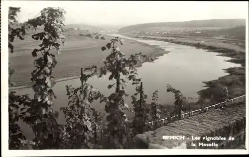 Ak Remich an der Mosel Luxemburg, Die Weinberge der Mosel