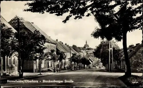Ak Hasselfelde Oberharz am Brocken, Blankenburger Straße