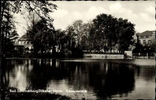 Ak Bad Schmiedeberg in der Dübener Heide, Schwanenteich