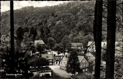 Ak Treseburg Thale im Harz, Teilansicht