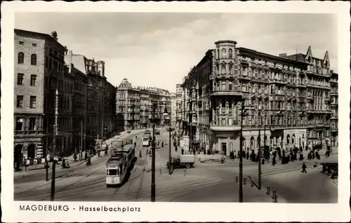 Ak Magdeburg, Hasselbachplatz, Straßenbahnen