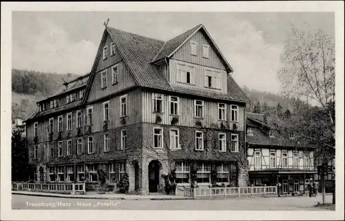 Ak Treseburg Thale im Harz, Haus Forelle, Gasthaus