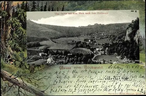 Ak Oybin in der Oberlausitz, Zittauer Gebirge, Hochwald