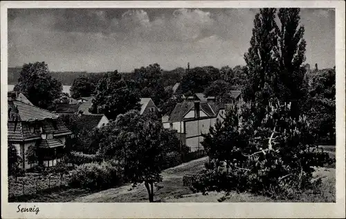 Ak Senzig Königs Wusterhausen, Teilansicht