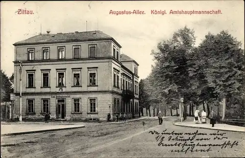 Ak Zittau in der Oberlausitz, Augustusallee, Königl. Amtshauptmannschaft