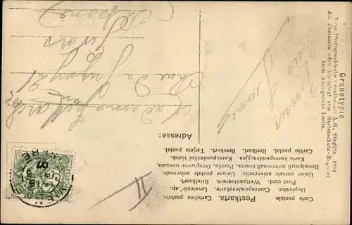 Ak Dame in Kleid, Portrait, NPG 558/1, Spiegel, lange Haare