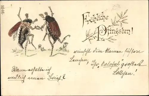 Präge Litho Glückwunsch Pfingsten, Tanzende Maikäfer