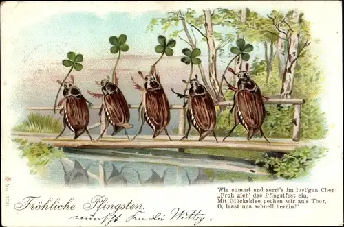 Litho Glückwunsch Pfingsten, Maikäfer, Kleeblätter, Birken